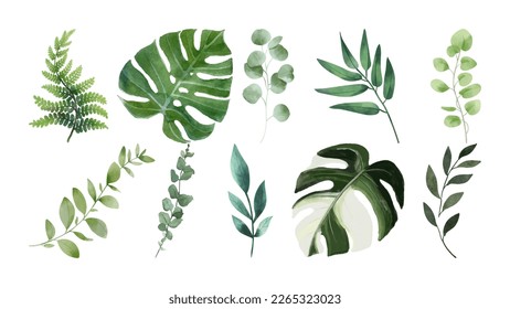 Greenery set collection. Monstera, fern and other plant leaves. Hand drawn. Isolated on white background. Vector illustration. Print, poster, banner, logo, label.