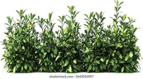 Verde arbustos plantas vetor, recortar formas fundos, isolado, elementos de paisagem, natureza, decorativo, elementos de design, folhagem, ao ar livre, eco amigável, meio ambiente