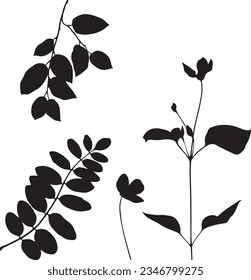 greenery silhouettes black flower leaf