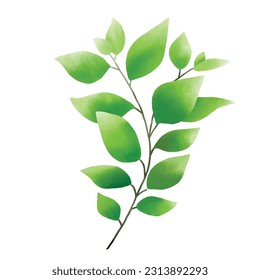 greenery style watercolor on whitr background