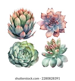 Greenery and succulent, romantic bouquets invite or greeting card. element set.