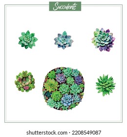 Greenery and succulent, romantic bouquets for wedding invitation or greeting card. Set of elements on a white background. All elements are isolated and editable.