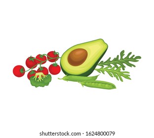 Greenery and Tomatoes. Food for Good Brain Function Isolated on White Background Vector Illustration