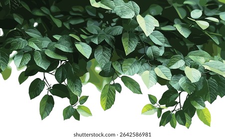 Greenery tree branches, large foliage leaves, forestry branches, nature leaves, tree foliage, vibrant greenery, fresh branches, forest tree leaves, lush foliage, outdoor greenery