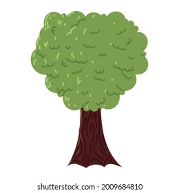 greenery tree frond isolated icon