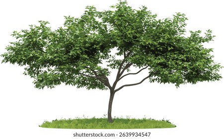 Greenery tree vector shape cut out png file, transparent background, plant silhouette, eco design, leaf illustration, nature icon, environmental clipart, botanical vector