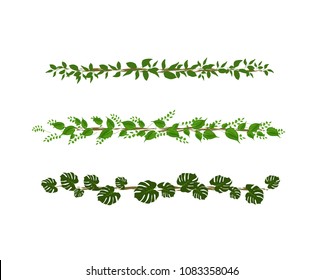 greenery tropical lines of leaves green eco natural borders