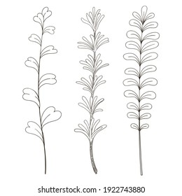 Vector de vegetación cliparte botánico. Fondo de vegetación forestal