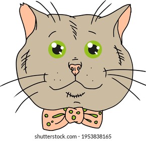 green-eyed cute cat with a bow on his neck