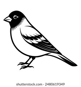 Greenfinch Bird Silhouette Art Design
