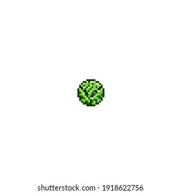 Green-headed cabbage, pixel art on white background. Cabbage pixel art. Vector illustration.