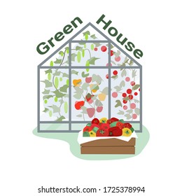 Greenhouse. A box with a crop of ripe tomatoes, peppers, cucumbers. Vector illustration. Isolated on a white background.
