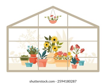 Greenhouse with colorful potted flowers and lush green plants. Sunflowers, tulips and decorative foliage. Vibrant indoor garden. Gardening and cultivation concept. Flat isolated vector illustration.