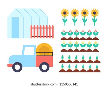 Greenhouse conservatory icons set. Farming automobile car transporting dry hay in trailer and flowers in ground. Sunflower plants isolated vector signs