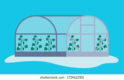 Greenhouse with cucumbers against the sky. Flat design. Vector illustration