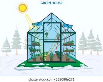 Greenhouse with different plants inside and its work process. Plants growing in pots inside the glass greenhouse. Global warming and climate change concept.