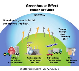 Greenhouse effect and how human activities contribute. 