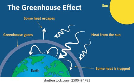 The greenhouse effect is the process through which heat is trapped near Earth's surface by substances known as greenhouse gases.