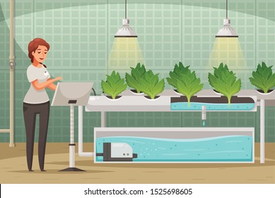 Greenhouse Farming Background With Hydroponics And Aeroponics Symbols Cartoon Vector Illustration