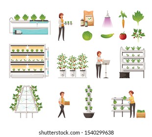 Greenhouse farming set with vertical hydroponics and aeroponics symbols cartoon vector illustration