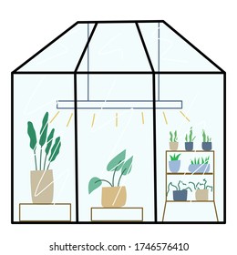 greenhouse flat simple illustration. plants, light under glass window