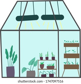 greenhouse flat simple illustration. plants, light under glass window