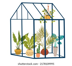 Greenhouse with flowers. Glass orangery, botanical garden green house, flowers and potted plants home gardening. Plants hanging on ropes, growing greenery in pots. Vector cartoon illustration isolate