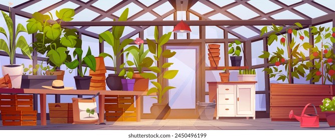 Greenhouse garden interior with glass walls and door, furniture and equipment. Cartoon vector glasshouse with farm plants and horticulture seedlings, flowers and vegetables in pots, chest and tables. svg