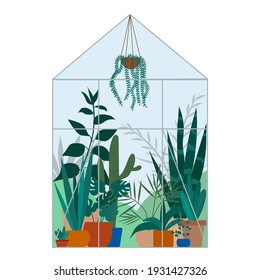 Greenhouse with garden plants in pots. Gardening. Flat illustration design. For postcards, prints, posters.