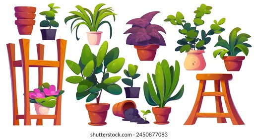 Greenhouse and gardening elements. Cartoon vector illustration set of pants in pot, wooden rack and chair, empty flowerpots. Glasshouse or conservatory room interior houseplants and greenery.