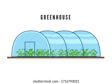 Greenhouse with green plants inside in flat style. Vector illustration