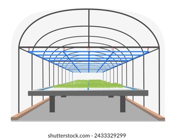 Greenhouse for growing hydroponic vegetables