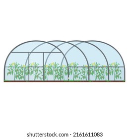 Greenhouse. Growing plants, gardening, vector illustration