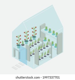 Greenhouse with growing vegetables in isometric 3d style. Gardening icon. Vector illustration.