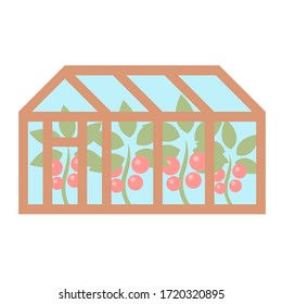 Invernadero con tomates rojos cultivados. Imagen aislada del vector sobre jardinería.
