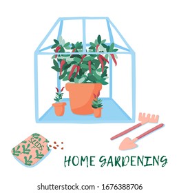 Greenhouse for home or urban gardening hobby. Glasshouse with the pots of greenery and flowers. Vector concept