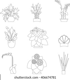 Greenhouse Housing Different Types of Plants, vector flat Illustration