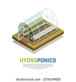 Greenhouse hydroponics isometric composition with image of conservatory hothouse with water tank gardening plants and text vector illustration