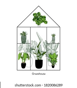 Greenhouse illustration on white background. flower house. Winter Garden. Gardening and truck farming concept. Exotic houseplant.