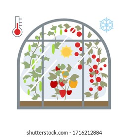 Invernadero. Dentro del sol, tomates, pepinos, pimientos. Fuera de un termómetro y un copo de nieve. Ilustración vectorial. Aislado sobre un fondo blanco.