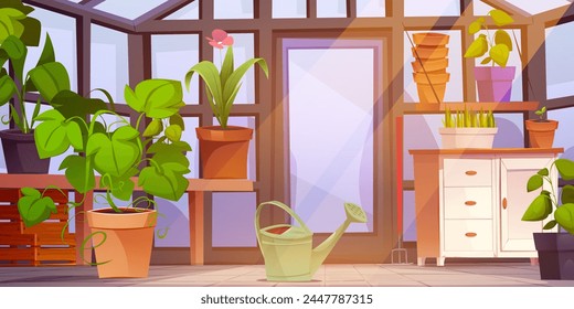 Interior de invernadero con muebles y plantas. Ilustración de dibujos animados de Vector de flor floreciendo, monstera creciendo en cubo de arcilla, hierba verde en maceta, agua de metal, sala con paredes de vidrio y puerta