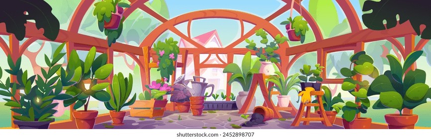 Greenhouse interior with glass walls, wooden furniture and green plants in flowerpot and vase. Cartoon vector illustration of conservatory garden inside with greenery and cultivation equipment.