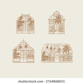 Greenhouse interior illustrations with potted and hanging plants drawing in line art graphic style with beige color on light background