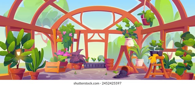 Interior de invernadero con plantas. Ilustración de dibujos animados de Vector de flores que florecen en cubos de arcilla, hierba verde en maceta, habitación con paredes de vidrio y puerta, escalera de madera y taburete, pasatiempo de jardinería