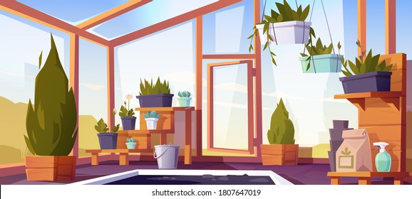 Greenhouse interior with potted plants on shelves. Empty winter garden, orangery with glass walls, windows, roof and stone floor, place for growing flowers, inside view. Cartoon vector illustration