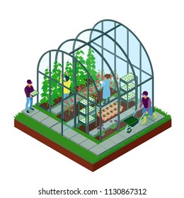 Greenhouse Isometric Composition