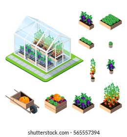 Greenhouse Isometric Set With Plants And Garden Vegetables Isolated Elements Vector Illustration