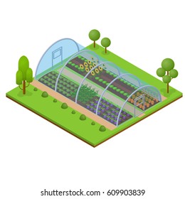 Greenhouse Isometric View Horticultural Conservatory for Plant, Vegetable and Flower Vector illustration
