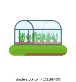 Greenhouse on abstract green land island. Green plant in terracotta flower pot. Vector plant in classic greenhouse with glass. Cultivation and gardening vector. Agriculture banner. 