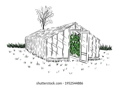 Greenhouse on the grass with tree and bushes